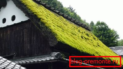Tradycyjne norweskie dachy sodowe