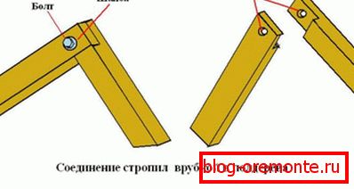 Technologia instalacji węzła grzbietowego w pół drzewa