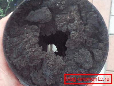 Komora sadownicza
