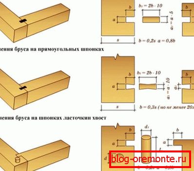 Kolejny wyraźny przykład wierzchowców Kolejny wyraźny przykład wierzchowców