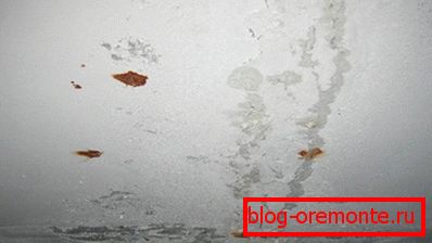 Jeśli pojawiła się pleśń Jeśli pojawiła się pleśń