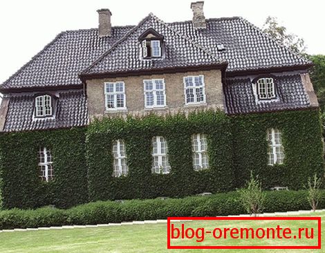 Roślinność na fasadzie