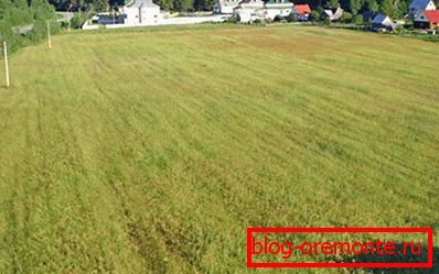 Zdjęcia z działki gotowe do budowy Zdjęcia z działki gotowe do budowy