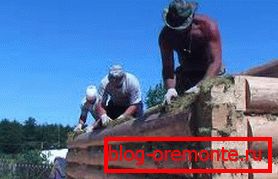 Wykorzystanie mchu do ocieplenia. Wykorzystanie mchu do ocieplenia.