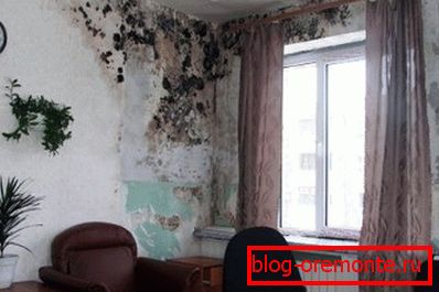 Amatorskie zdjęcie betonowych ścian dotkniętych grzybem ze względu na zwiększoną wilgoć Amatorskie zdjęcie betonowych ścian dotkniętych grzybem ze względu na zwiększoną wilgoć