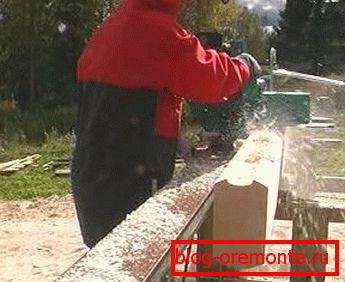 Na zdjęciu - jeden z rodzajów ręcznych frezarek, które mogą obsługiwać różne gatunki drewna Na zdjęciu - jeden z rodzajów ręcznych frezarek, które mogą obsługiwać różne gatunki drewna