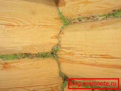 Przetwarzanie szczeliny Moss Przetwarzanie szczeliny Moss