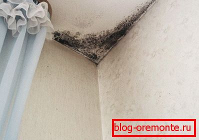 Mold