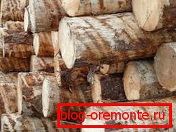 Świeżo ścięte drewno, które wkrótce stanie się barem Świeżo ścięte drewno, które wkrótce stanie się barem