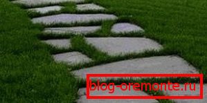 Trawa przekraczająca ścieżkę cementu poprawia harmonię z wnętrzem ogrodu